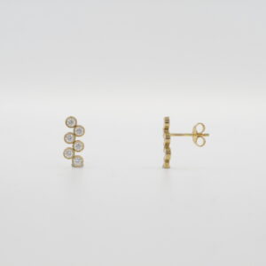 PTE. CIRCO CHATONES O/A PRESION