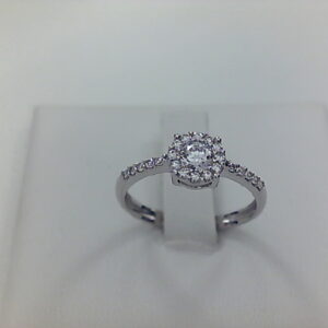 AN. CIRCO O/B ROSETON Y CIRCO BRAZO