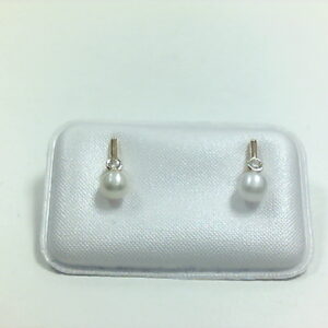 PTE. CIRC. PERLA PRESION 750