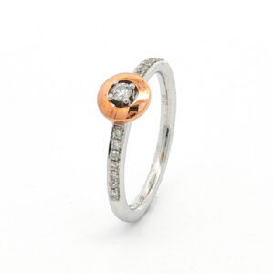 SOLT BICOLOR 1 BRI 0,150 CT CENTRAL