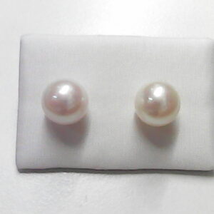 PERLA 9-9.5 O/ A PRESION