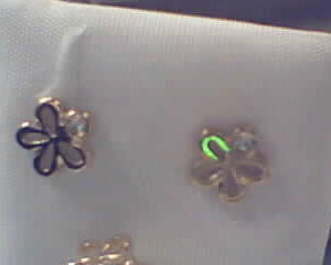 PTES. CIRC. FLOR O/A