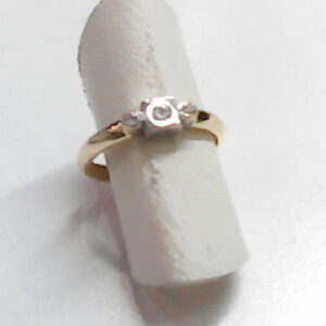 AN CRIC BICOLOR