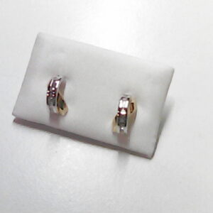 PTE. ORO BICOL. 750