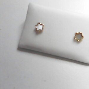 DOR. NACAR FLOR 750