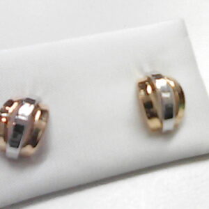 PTE. BICOLOR PRESION 3 BANDAS