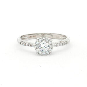 AN. CIRCO O/B ROSETON Y CIRCO BRAZO