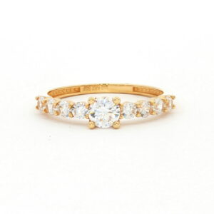 AN. CIRCO CENTRAL O/A