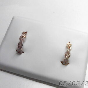 PTES. BRI. 0.26 CT O/A