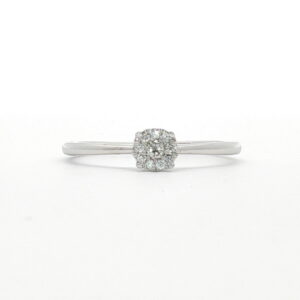 AN ROSETON BR 0,034 + 0,046 CT