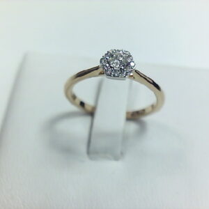AN. BRI. 0.14 + 0.06 Ct ROSETON HEXAGONO