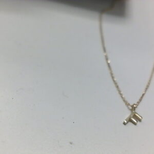 GARG. O/A LETRA F CON CADENA